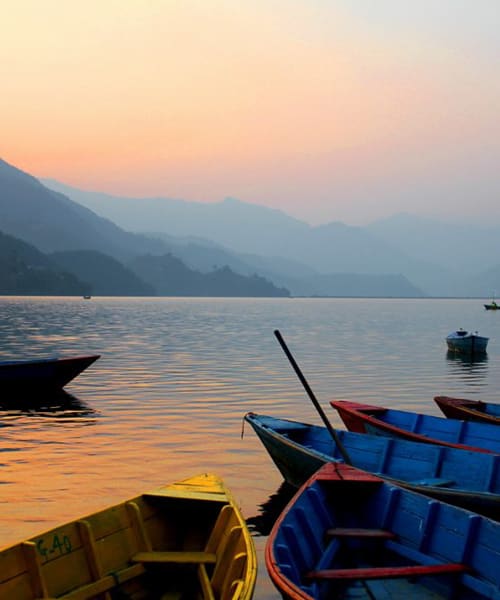 Wooden rowing boats moored on Phewa Lake at dusk